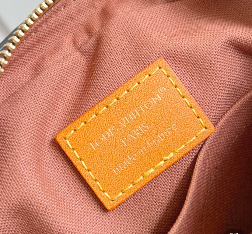 L.V Monogram Canvas Camera Bag